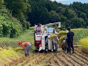 稲をコンバインに運び終わる様子（写真）
