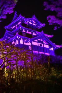 パープル・ライトアップ（写真）