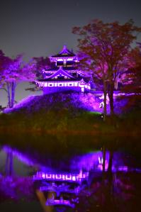 パープル・ライトアップ（写真）