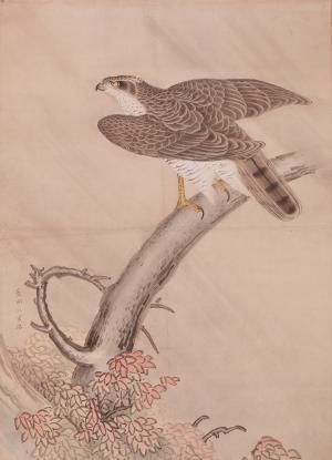 菱田春草「鷹」（作品画像）