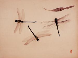 小林古径「蜻蛉」（作品画像）