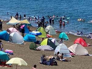 色とりどりのテント（写真）