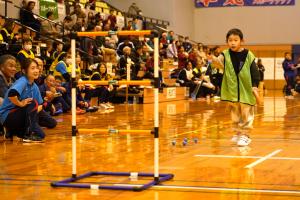 レクリエーション競技（ラダーゲッター）