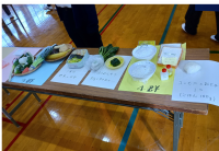 一日に必要な食品の分量等の見本（写真）