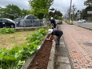 スコップやシャベルで花壇を耕しています（写真）