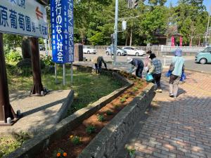 花壇の草取りをしています（写真）