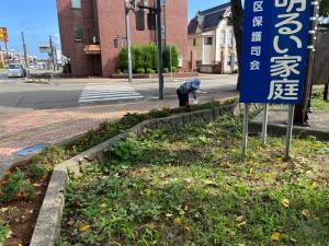 咲き続けているマリーゴールドの花壇の除草をしています（写真）