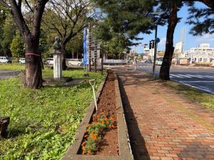 最後まできれいな花を咲かせていたマリーゴールド（写真）