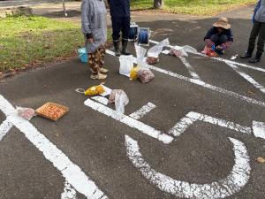 色ごとに分けられたチューリップの球根（写真）