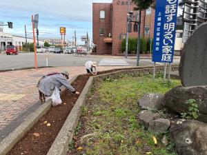 チューリップが咲いたときに綺麗に見えるように配置しています（写真）