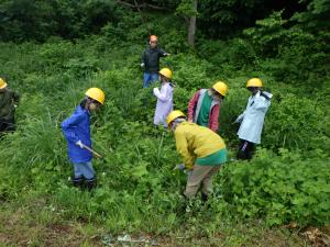 くわどり市民の森での分区林整備（写真）