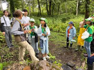 妙高笹ヶ峰での自然観察(写真)