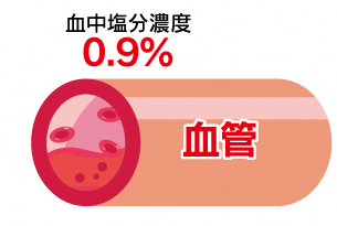 正常な血管のイラスト