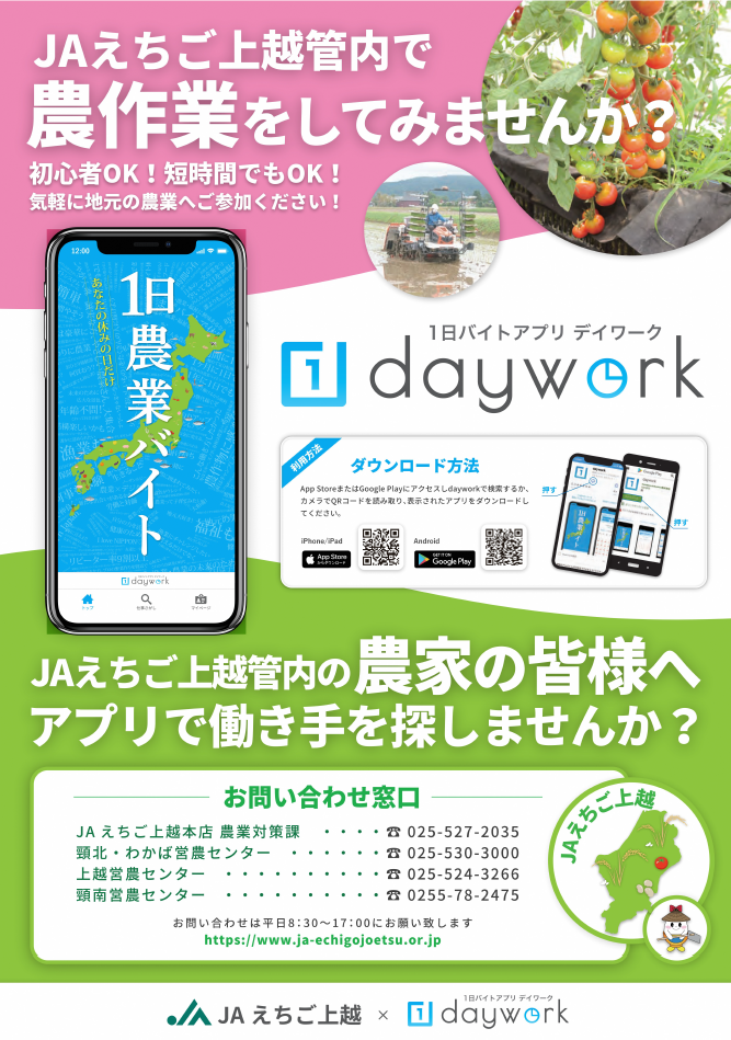 デイワークチラシ 表面(画像)