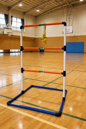 ラダーゲッター（写真）