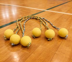 ラダーゲッターのボール（写真）