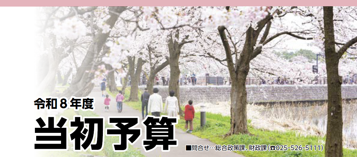 桜の風景（写真）