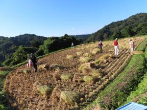 協力して農作業を行う様子（写真）