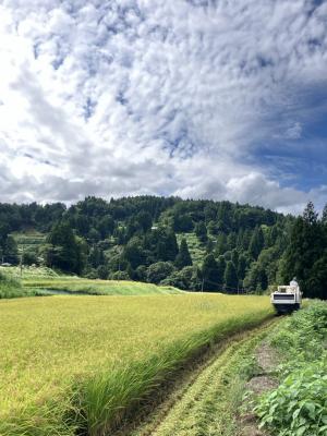 活動地域の田の様子（写真）