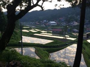 活動地域の様子　棚田（写真）