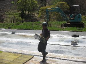 活動の様子　育苗箱並べ（写真）