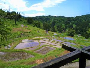 活動地域の様子　水が張られた棚田（写真）