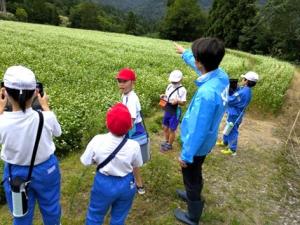 越後田舎体験中の小学生（写真）