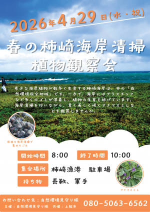 春の海岸清掃・植物観察会のチラシ（画像）