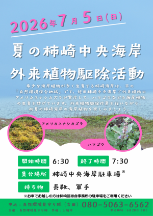 夏の柿崎中央海岸外来植物駆除活動チラシ(画像)
