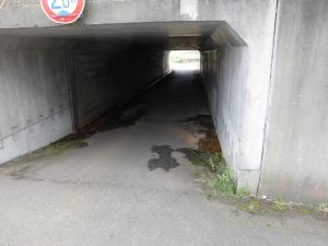国道下の隧道(写真)