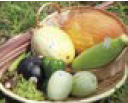 上越野菜(写真)