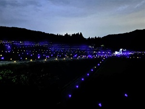 棚田のきらめき2025（写真）