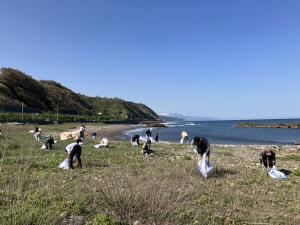 海岸清掃を行う参加者の様子（写真）