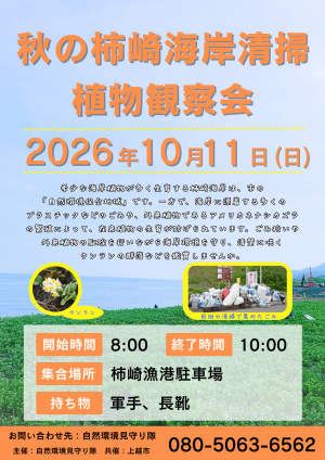 秋の柿崎海岸清掃・植物観察会