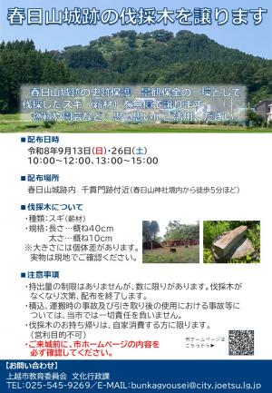 イベントチラシの画像