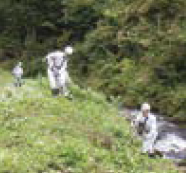 草刈りの写真