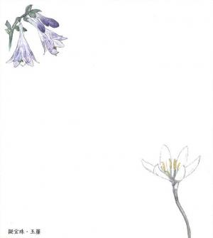 花のメモパッド（画像）