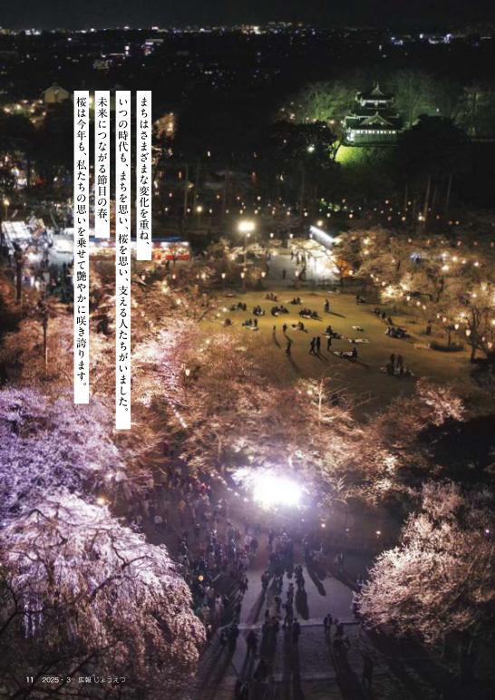 夜の観桜会上空写真