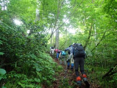 不動山登山の様子（写真）